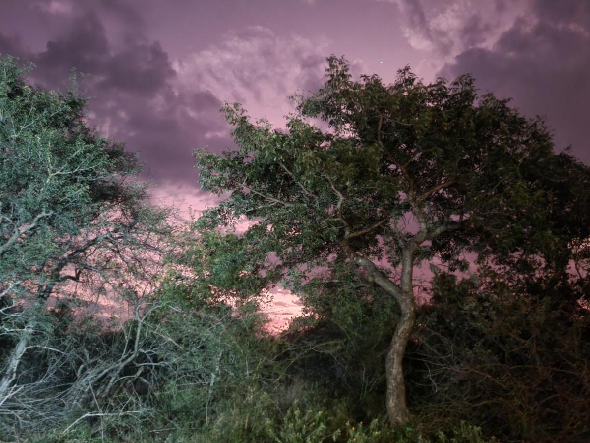 Holiday home Larima Bush Retreat Hoedspruit